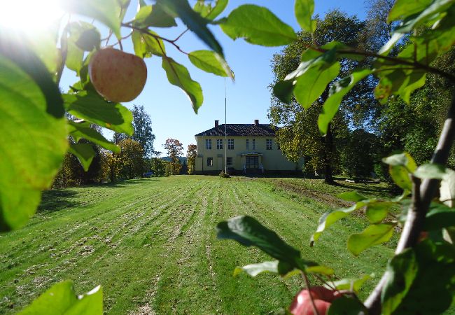 Ferienhaus in Lesjöfors - Grosses Ferienhaus für 18 Personen im schönen Värmland