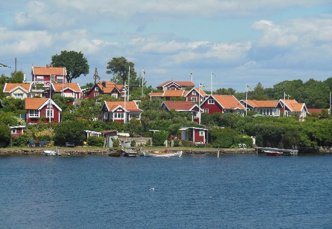 Ferienhaus in Norrhult - Im Herzen von Småland liegt dieses Bilderbuch-Ferienhaus
