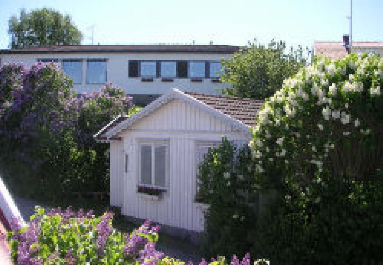 Ferienhaus in Bohus-Malmön - Stuga Malmön