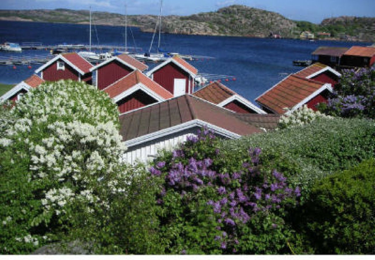 Ferienhaus in Bohus-Malmön - Stuga Malmön