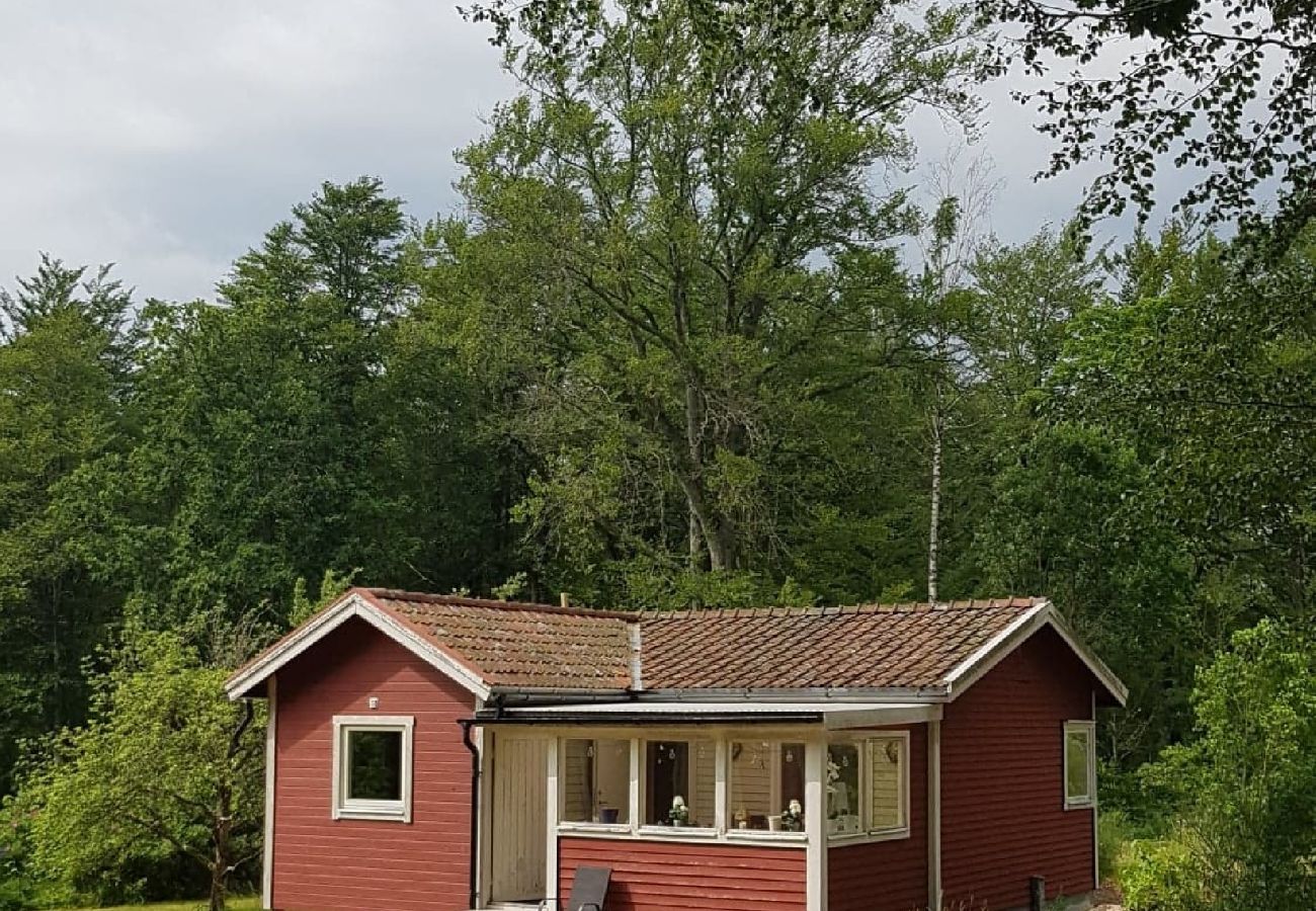 Ferienhaus in Lönashult - Tvetaryds fritidsområde