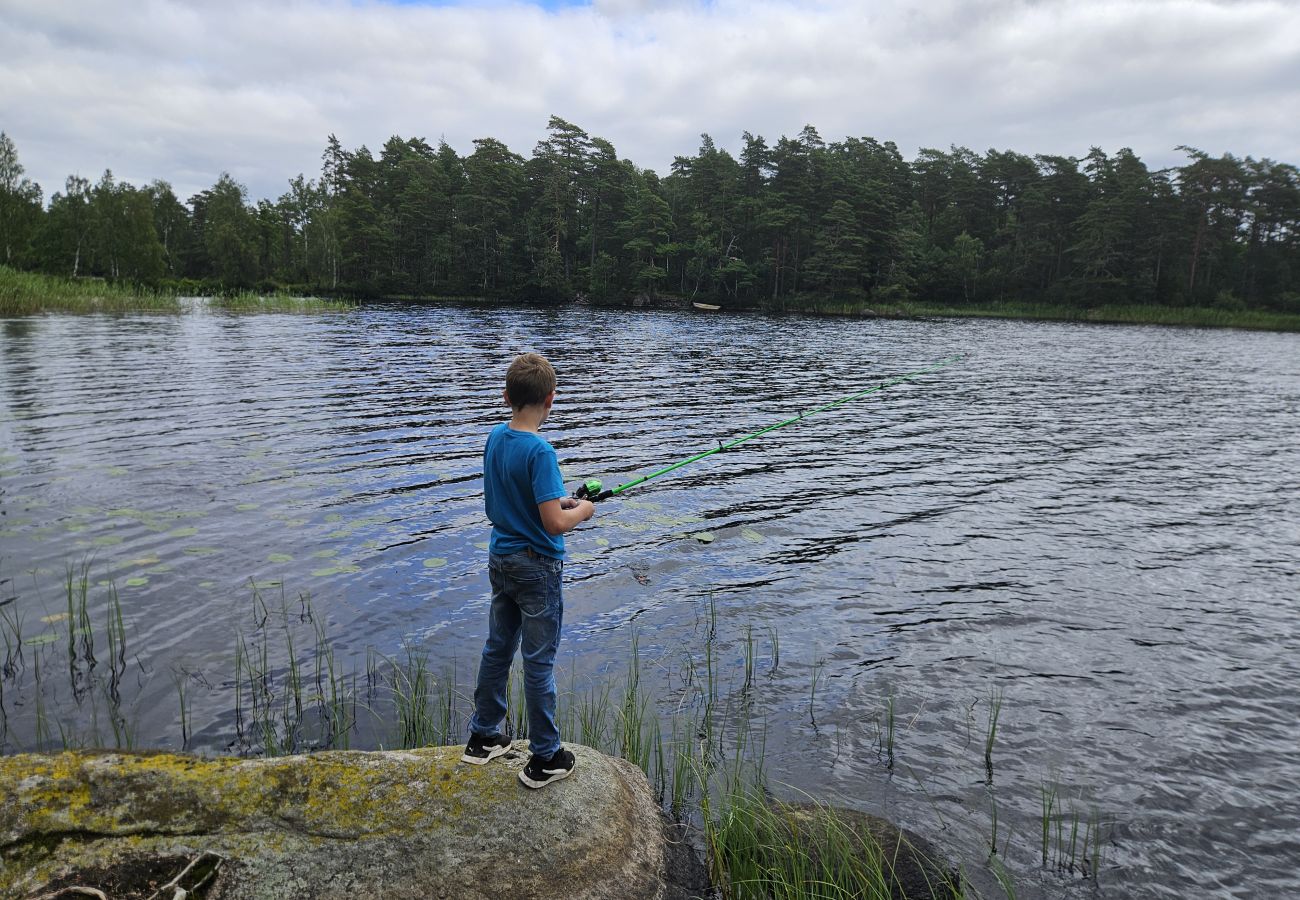 Ferienhaus in Hallaryd - Ferienhaus am See Örsjön mit Internet