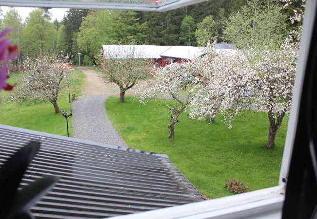 Ferienhaus in Långasjö - Skogsgård Sibbahultsmåla Ferienhaus in Långasjö - Skogsgård Sibbahultsmåla