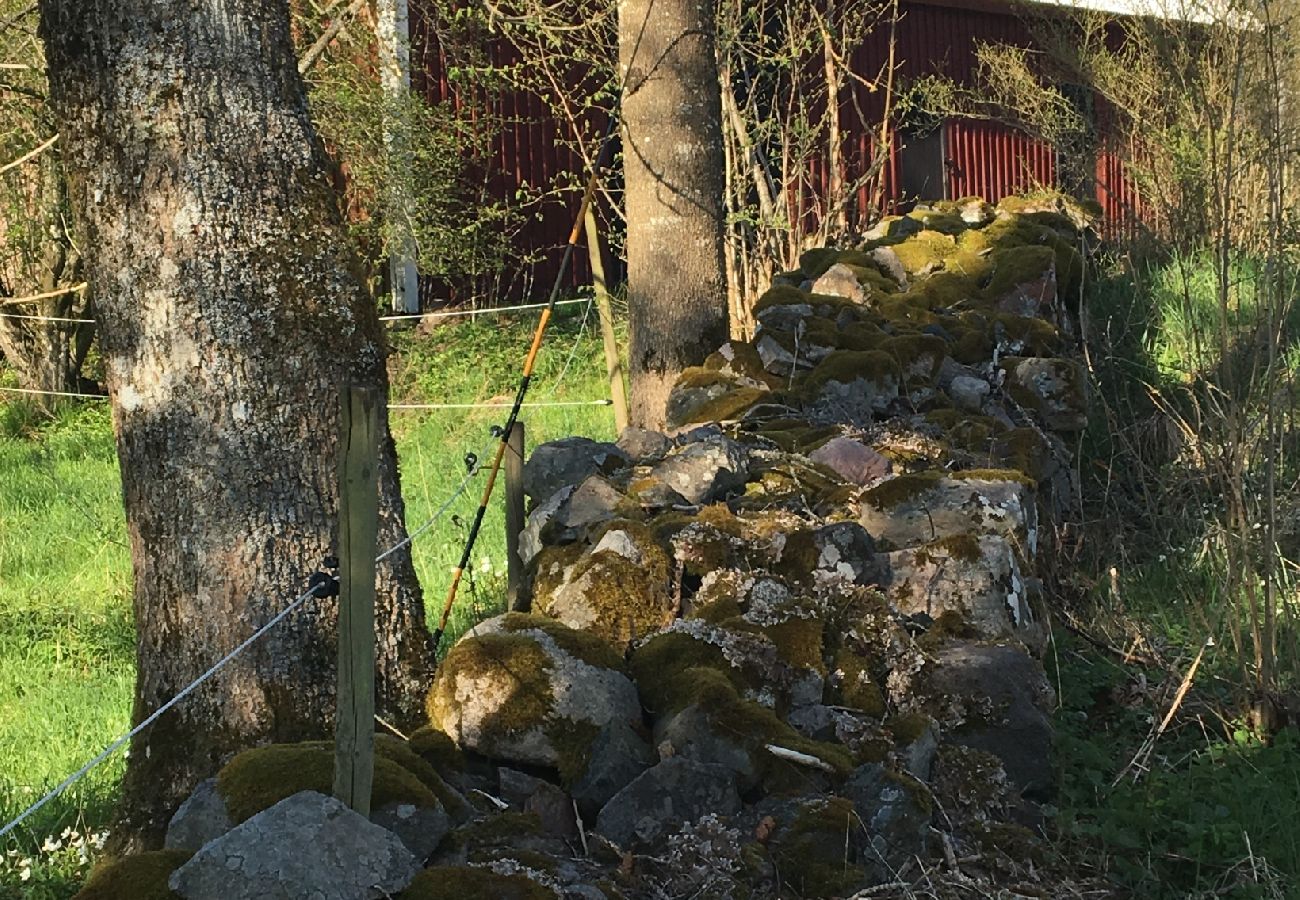 Ferienwohnung in Älmhult - Adelé's countryhouse