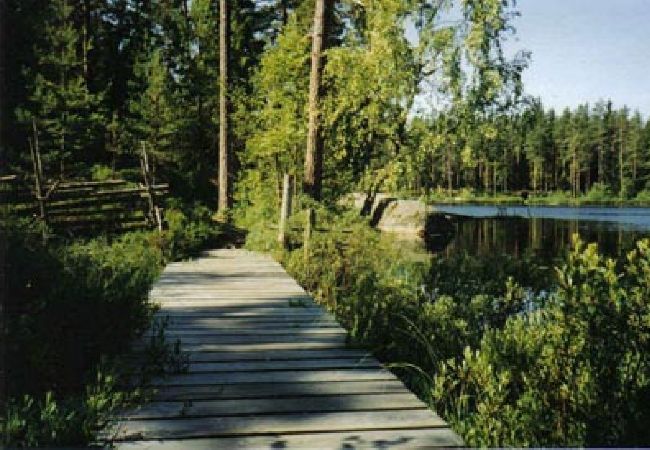 Ferienhaus in Älmeboda - Urlaub in den Wäldern Smålands