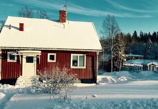 Ferienhaus in Sunnansjö - Ferienhaus 10 MInuten vom Skigebiet Säfsen