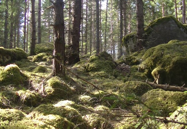 Ferienhaus in Hjortkvarn - Hjortkvarn naturhus