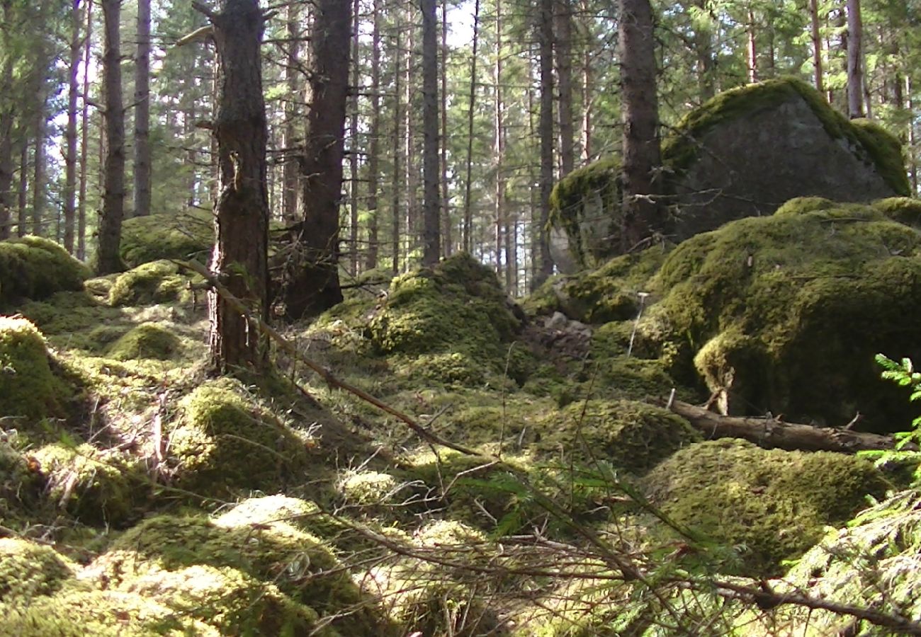 Ferienhaus in Hjortkvarn - Hjortkvarn naturhus