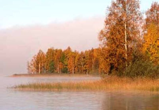 Ferienhaus in Nordmarkshyttan - Ruhige Lage, naturschöne Umgebung in Värmland