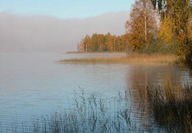 Ferienhaus in Nordmarkshyttan - 