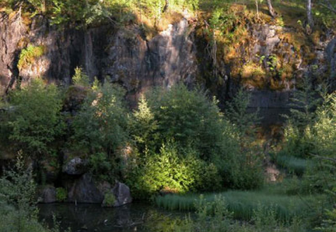 Ferienhaus in Nordmarkshyttan - Natur pur - Willkommen im Ferienhaus in Värmland