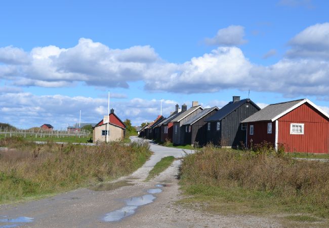 Ferienhaus in Gotlands Tofta - Ferienhaus auf Gotland