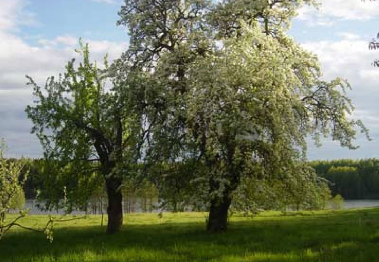 Ferienhaus in Stjärnhov - Abgelegen an einem idyllischen Waldsee