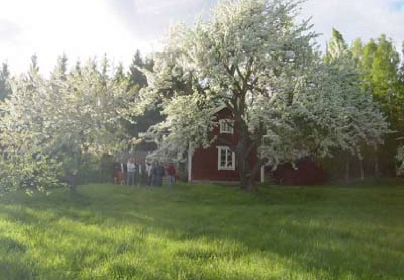 Ferienhaus in Stjärnhov - Abgelegen an einem idyllischen Waldsee