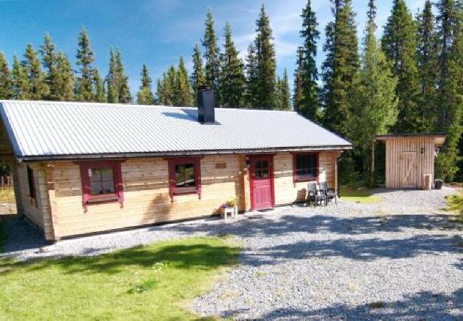Ferienhaus in Svenstavik - Blockhütte mit hohem Standard in Jämtlands Bergen