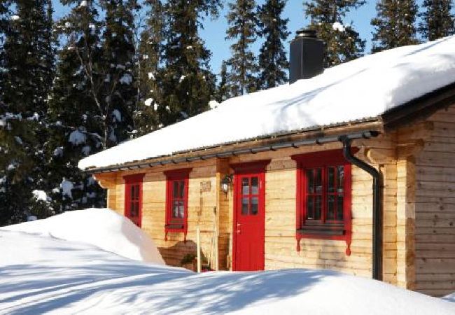 Ferienhaus in Svenstavik - Blockhütte mit hohem Standard in Jämtlands Bergen