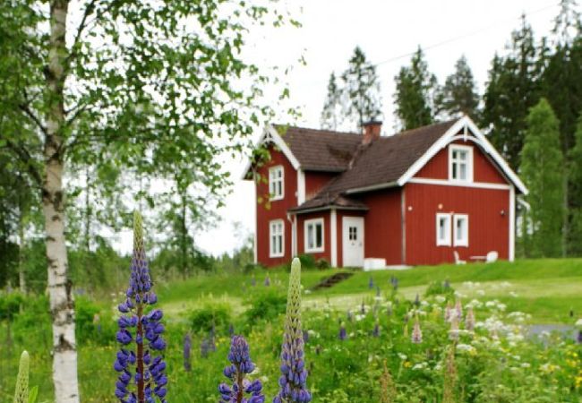 Ferienhaus in Skillingaryd - Urlaub in einsamer Lage mit Boot