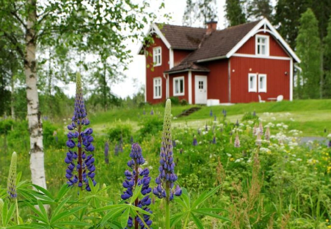 Ferienhaus in Skillingaryd - Urlaub in einsamer Lage mit Boot