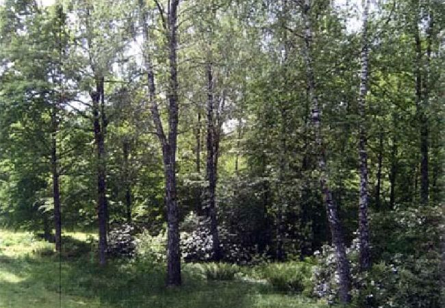 Ferienhaus in Tvärred - Ferienhaus ruhig und friedlich im Wald