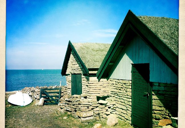 Ferienhaus in Borgholm - Skomakartorpet