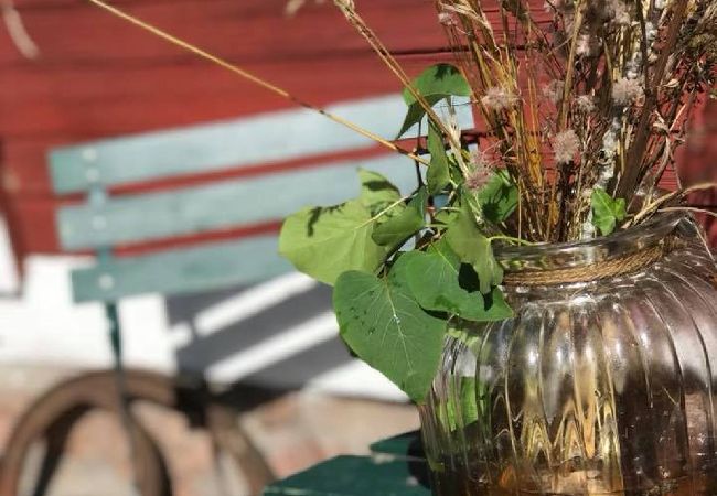 Ferienhaus in Fagerhult - Urlaub wie bei Michel in Lönneberga  Ferienhaus in Fagerhult - Urlaub wie bei Michel in Lönneberga