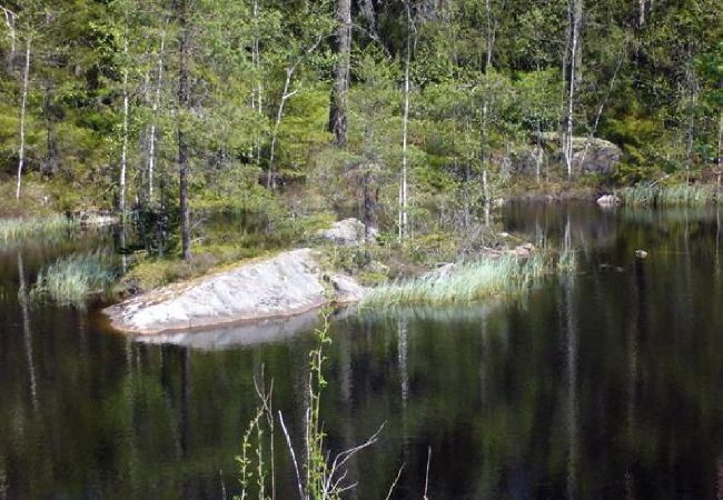 Ferienhaus in Skillingaryd - Ferienhaus am Wasser mit Sauna