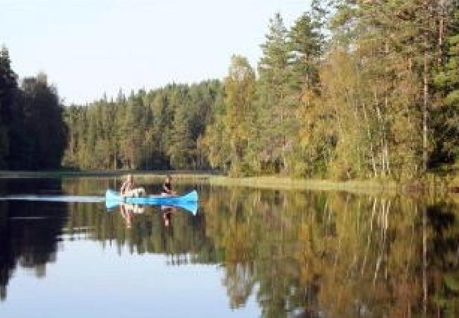 Ferienhaus in Skillingaryd - Ferienhaus am Wasser mit Sauna