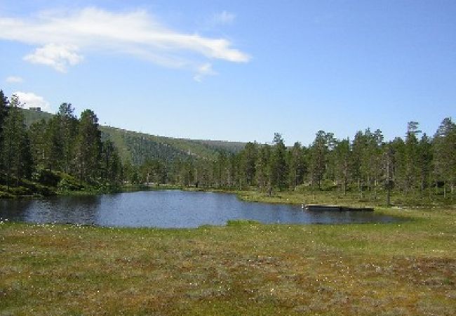 Ferienhaus in Sälen - Movägen 9B