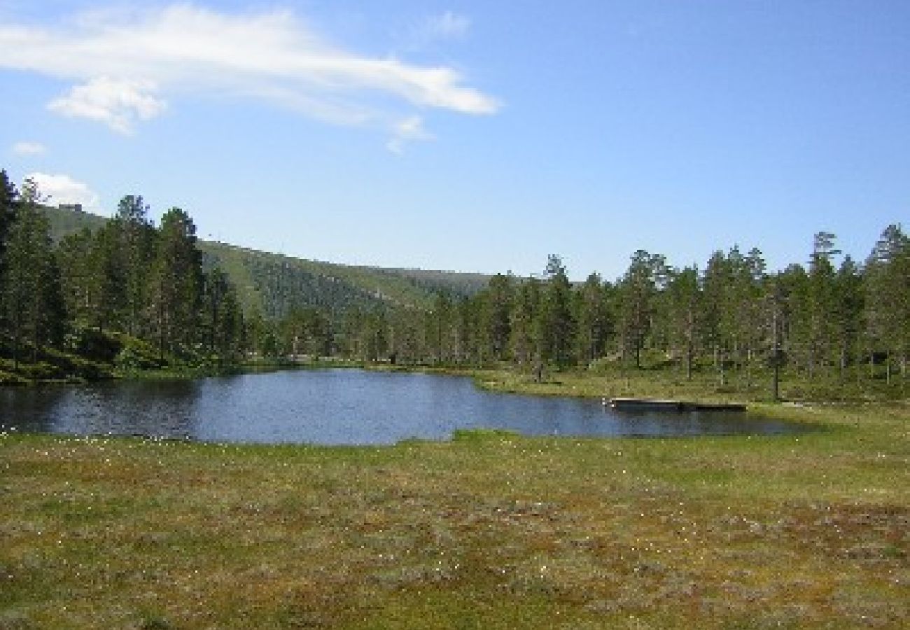 Ferienhaus in Sälen - Schön eingerichtete Ferienhaushälfte zum Skiurlaub oder zum Wanderurlaub 