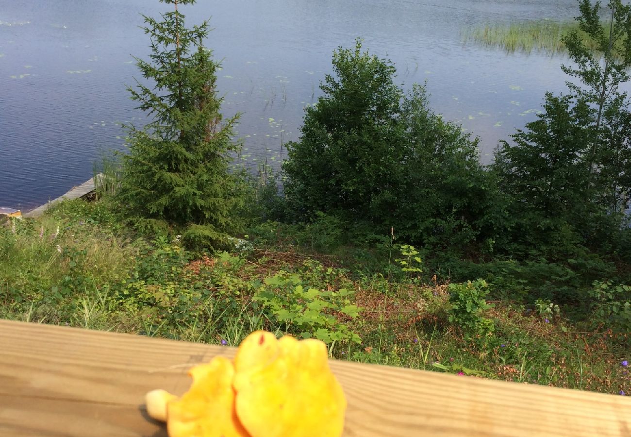 Ferienhaus in Mörlunda - Urlaub direkt am See in Småland und ohne Nachbarn