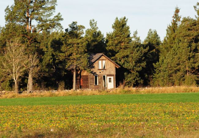 Ferienhaus in Visby - Ein perfekter Zufluchtsort für ein ruhesuchendes Pärchen