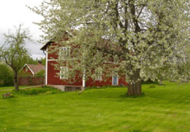 Ferienhaus in Tived - Urlaub auf einem Landhof mit eigenem Boot