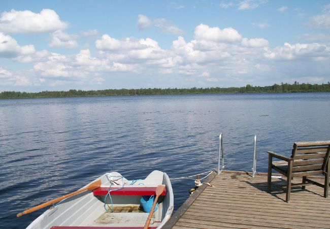 Ferienhaus in Väckelsång - Grosses Komfort-Ferienhaus mit privatem pool , Motorboot und Seeblick