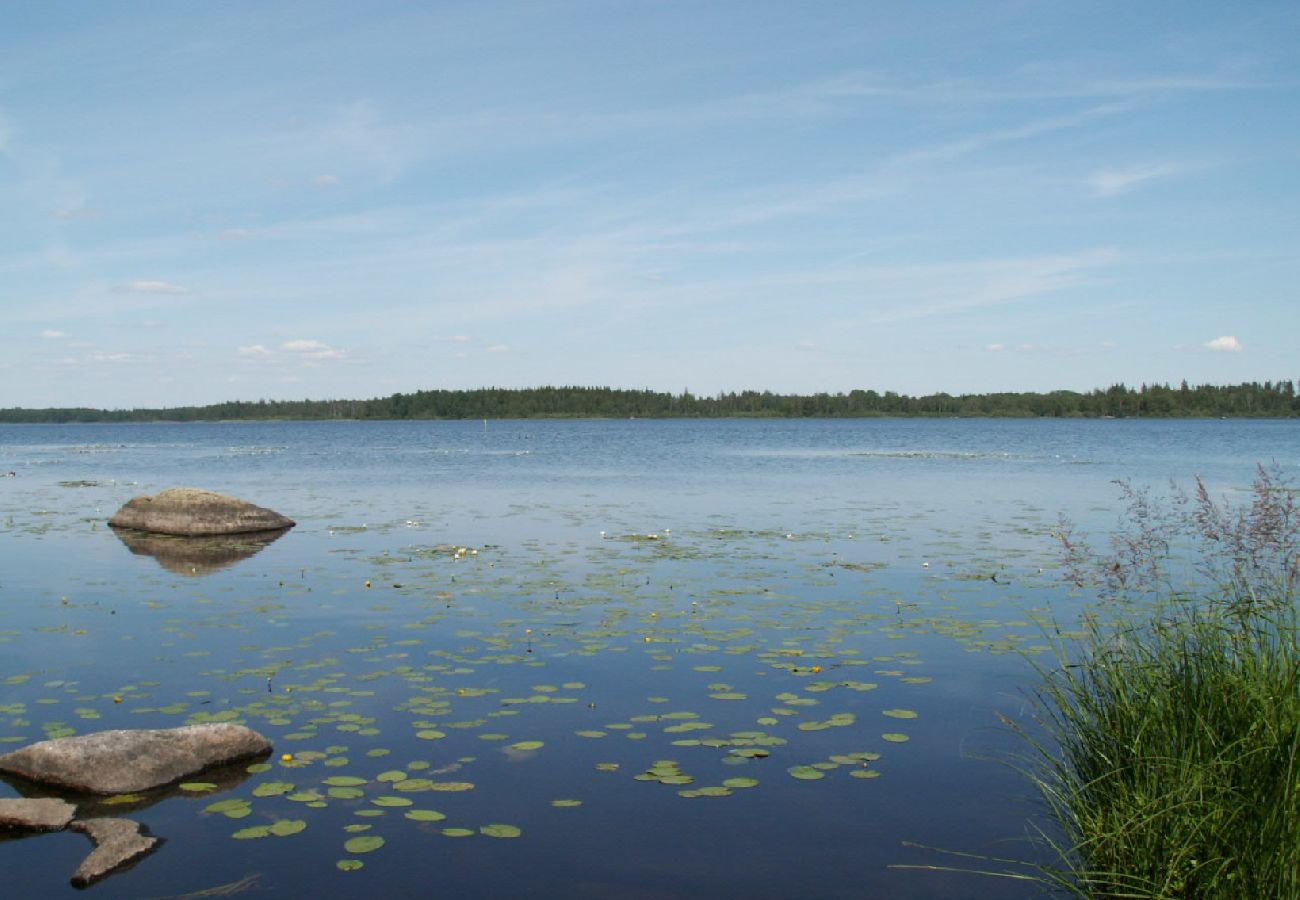 Ferienhaus in Väckelsång - Grosses Komfort-Ferienhaus mit privatem pool , Motorboot und Seeblick