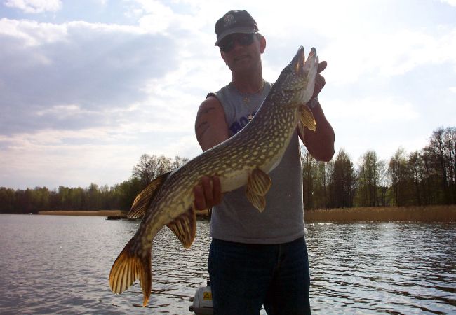Ferienhaus in Arboga - Am Ufer des Hjälmaren Sees Ferienhaus in Arboga - Am Ufer des Hjälmaren Sees