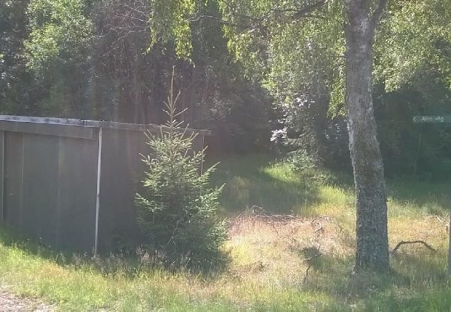 Ferienhaus in Åsljunga - Åsljunga Skogen Ferienhaus in Åsljunga - Åsljunga Skogen