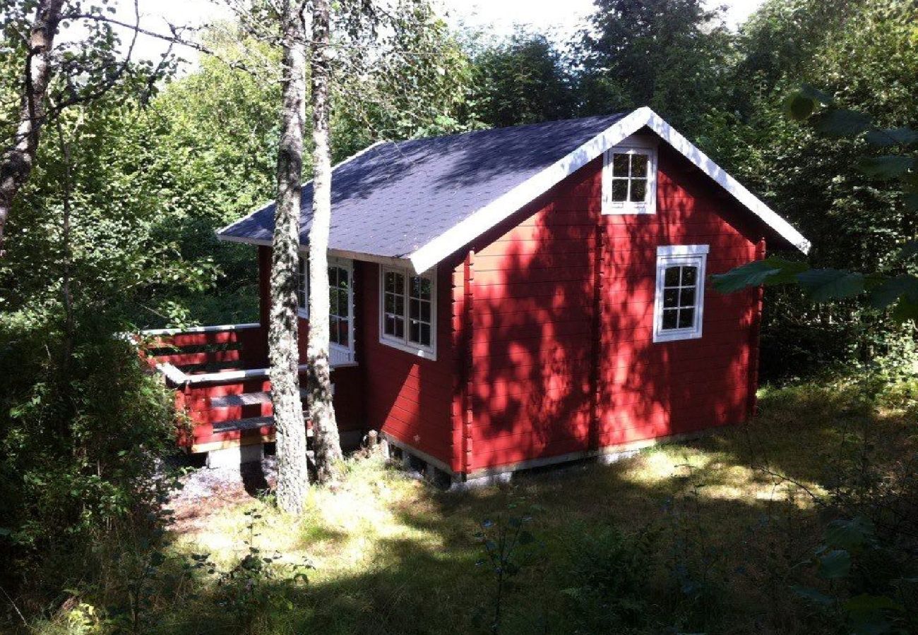 Ferienhaus in Åsljunga - Åsljunga Skogen