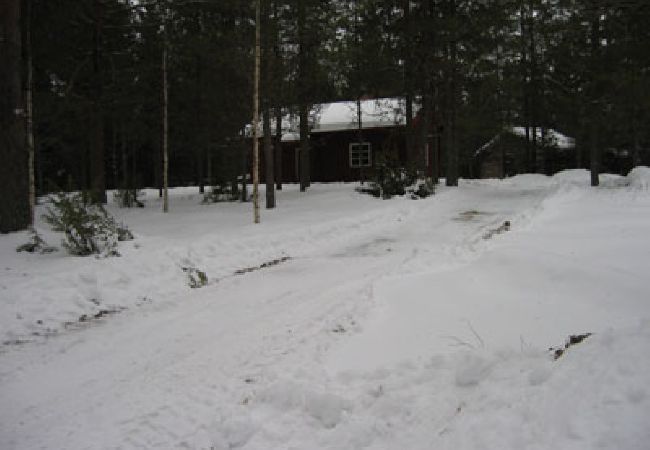 Ferienhaus in Vikarbyn - Fäbodstuga