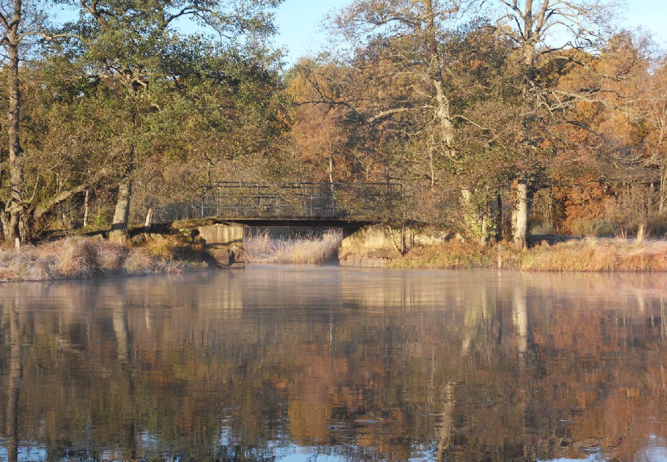 Ferienhaus in Osby - Grosses Ferienhaus auf einem Waldgrundstück mit Sauna und Boot am See