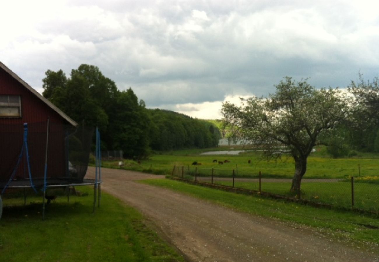 Ferienhaus in Veddige - Semesterhus Grimmared