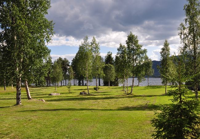 Ferienhaus in Sorsele - Abenteuer und Erholung in der einzigartigen Natur Lapplands