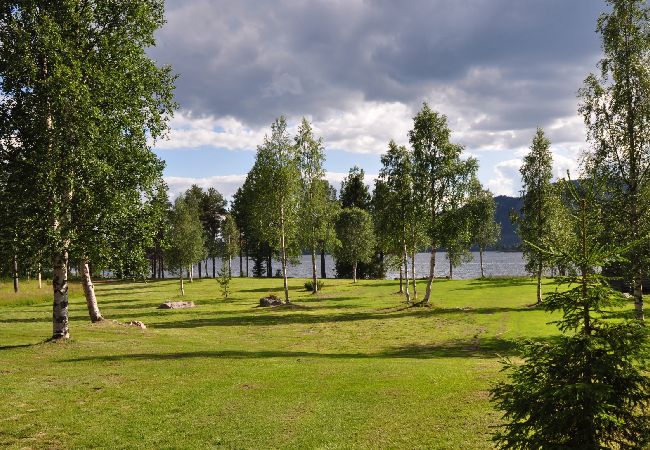 Ferienhaus in Sorsele - Abenteuer und Erholung in der einzigartigen Natur Lapplands Ferienhaus in Sorsele - Abenteuer und Erholung in der einzigartigen Natur Lapplands