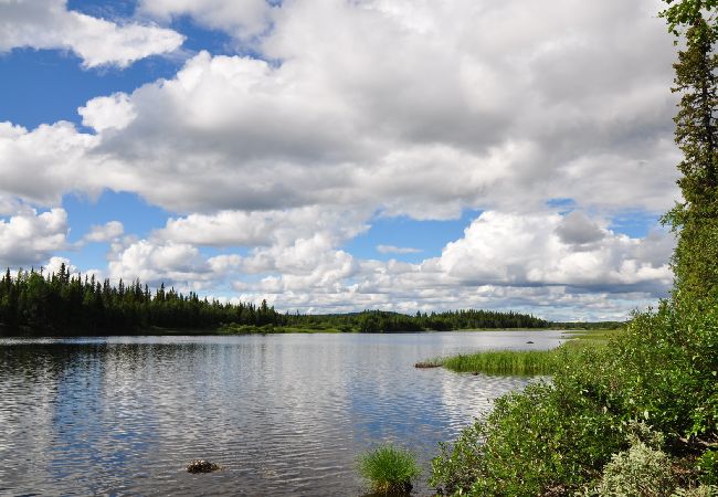 Ferienhaus in Sorsele - Abenteuer und Erholung in der einzigartigen Natur Lapplands Ferienhaus in Sorsele - Abenteuer und Erholung in der einzigartigen Natur Lapplands