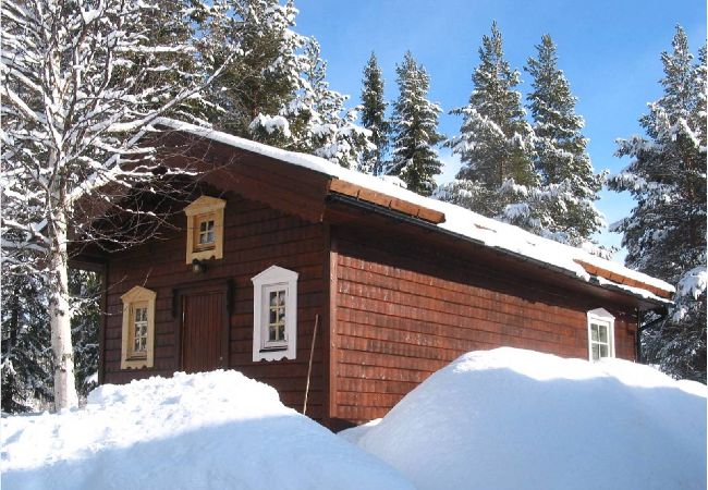 Ferienhaus in Sorsele - Abenteuer und Erholung in der einzigartigen Natur Lapplands