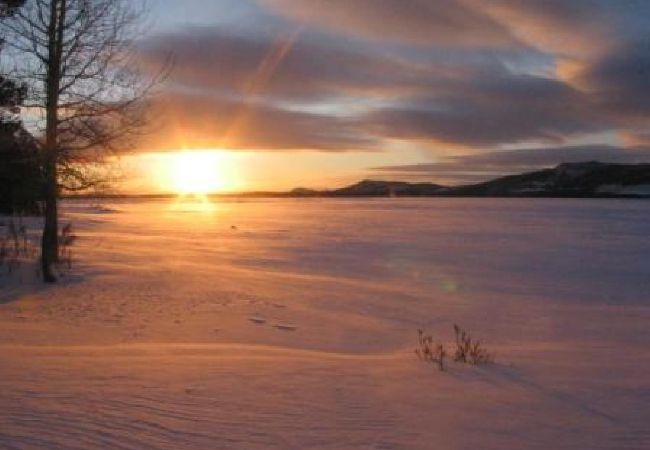 Ferienhaus in Sorsele - Abenteuer und Erholung in der einzigartigen Natur Lapplands