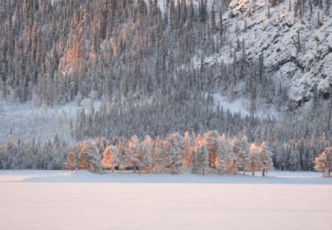 Ferienhaus in Sorsele - Abenteuer und Erholung in der einzigartigen Natur Lapplands Ferienhaus in Sorsele - Abenteuer und Erholung in der einzigartigen Natur Lapplands