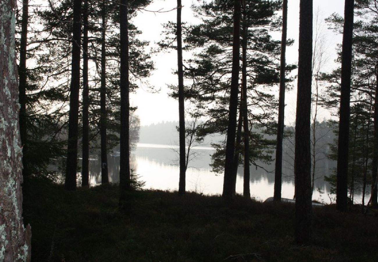 Ferienhaus in Eksjö - Ferienhaus mit Seeblick