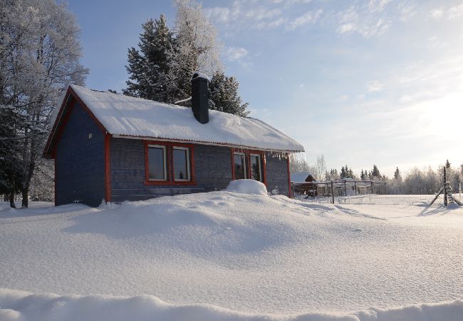 Ferienhaus in Föllinge - Husky farm Fjällspirit