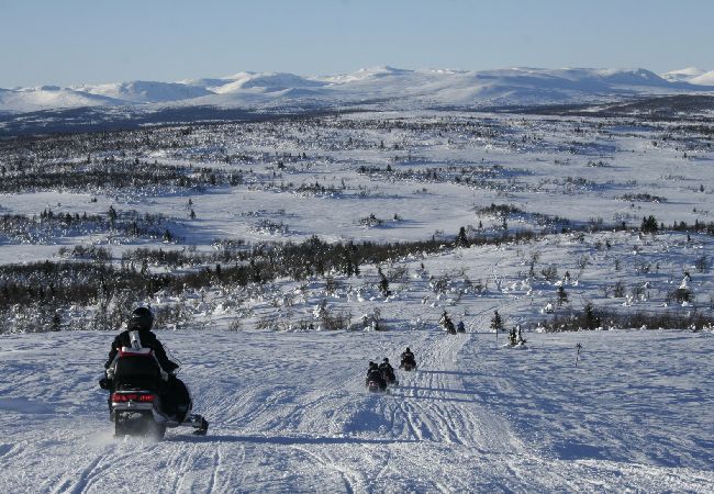 Ferienhaus in Föllinge - Urlaub auf einer Huskyfarm in der Wildnis von Jämtland Ferienhaus in Föllinge - Urlaub auf einer Huskyfarm in der Wildnis von Jämtland