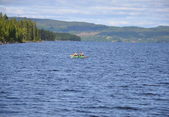 Ferienhaus in Föllinge - Urlaub auf einer Huskyfarm in der Wildnis von Jämtland Ferienhaus in Föllinge - Urlaub auf einer Huskyfarm in der Wildnis von Jämtland